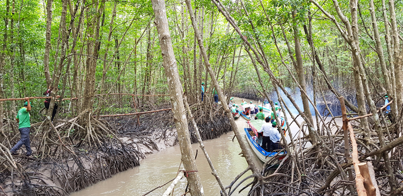 Trải nghiệm tour du lịch xuyên rừng tại Đất Mũi Cà Mau