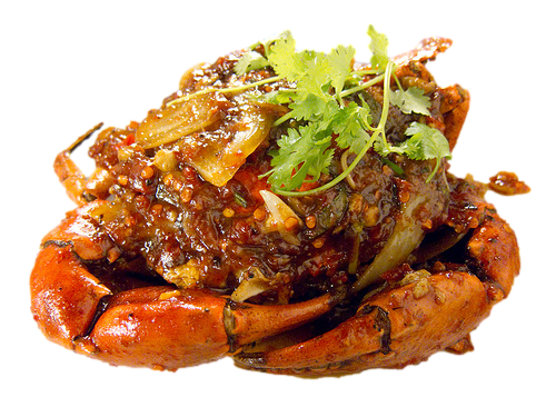 CUA CÀ MAU, TINH HOA TỪ RỪNG NGẬP MẶN